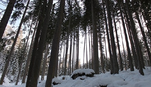 img_2547.jpg
