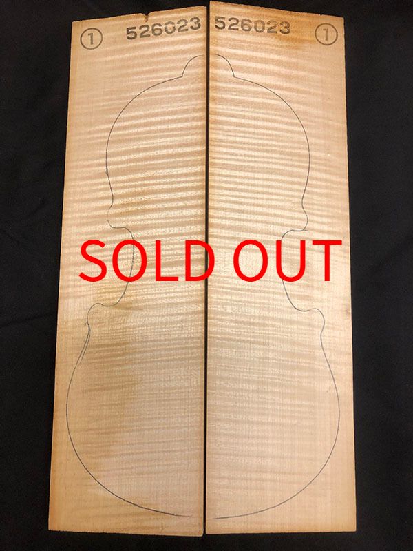 メープル裏板表面