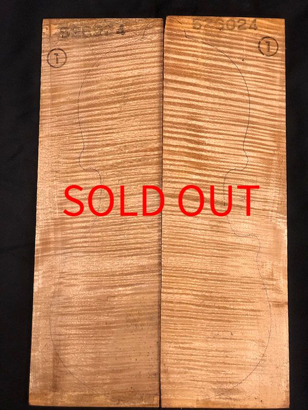 メープル裏板表面