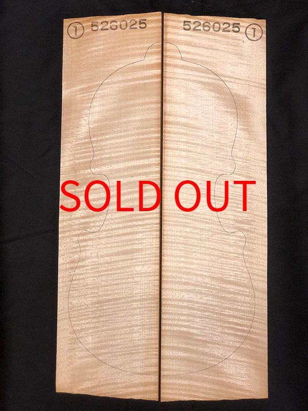 メープル裏板表面