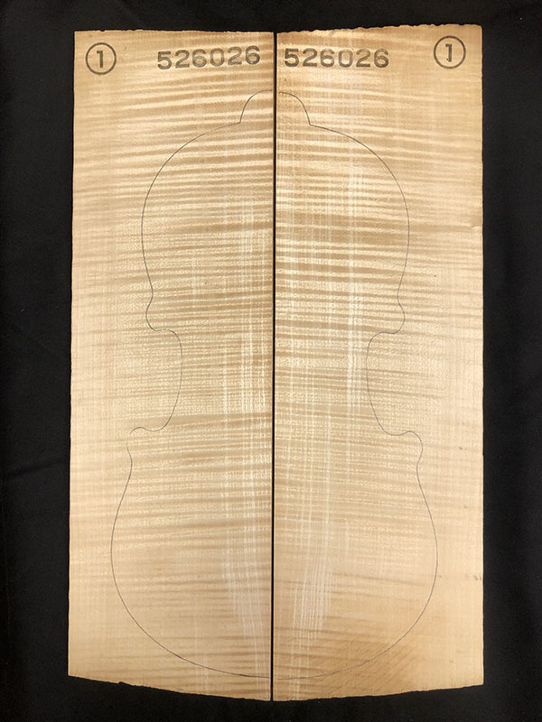 メープル裏板表面