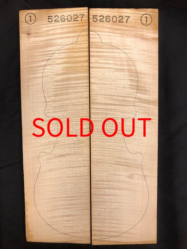 メープル裏板表面