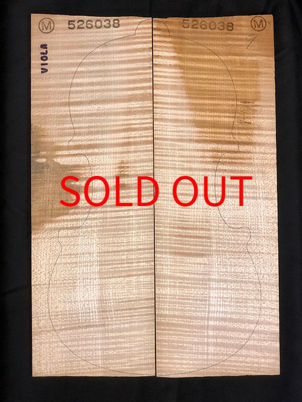 メープル裏板表面