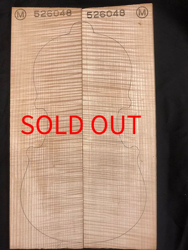 メープル裏板表面