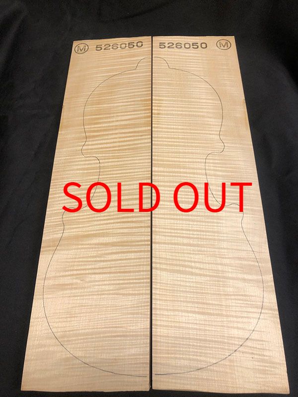 メープル裏板表面