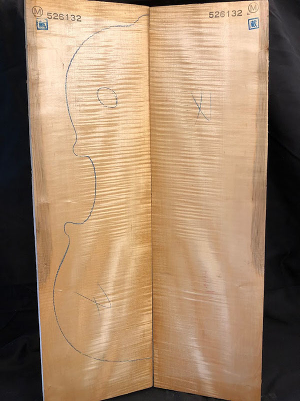 メープル裏板表面