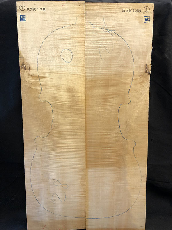 メープル裏板表面