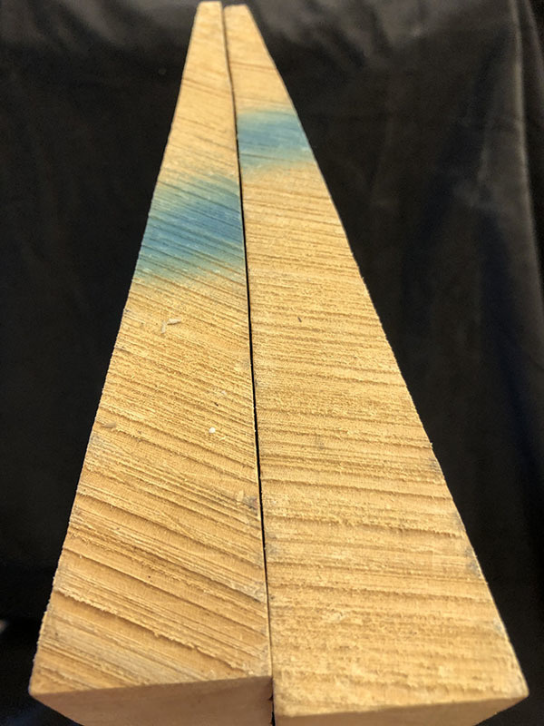 メープル裏板断面図