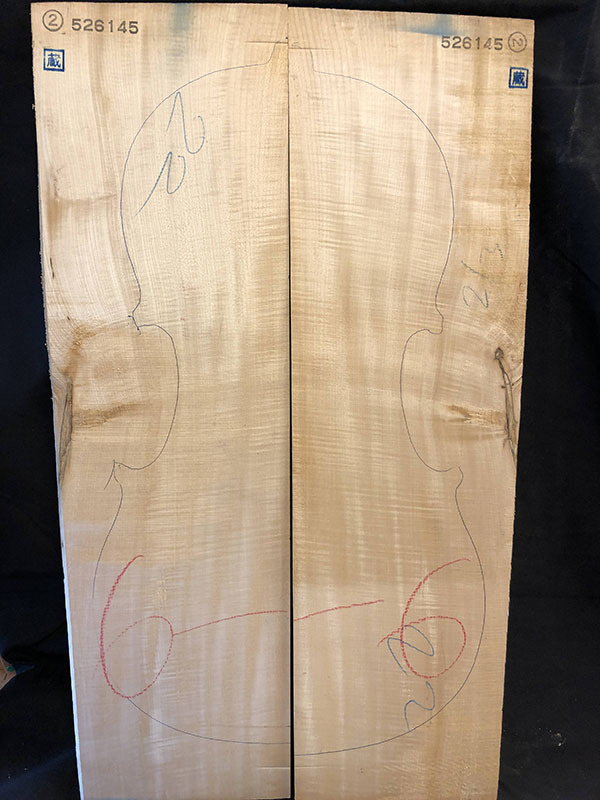 メープル裏板表面