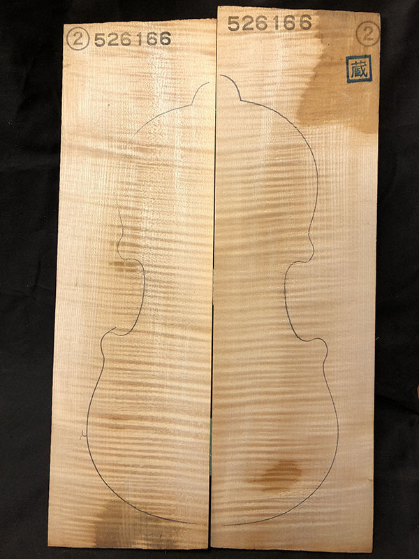 メープル裏板表面