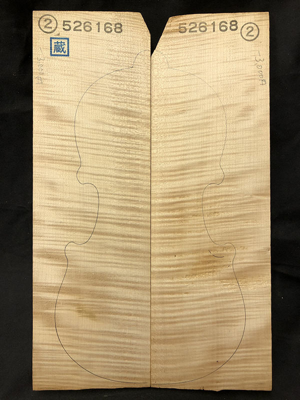 メープル裏板表面