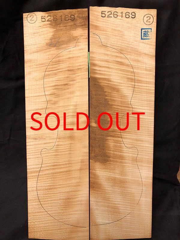 メープル裏板表面