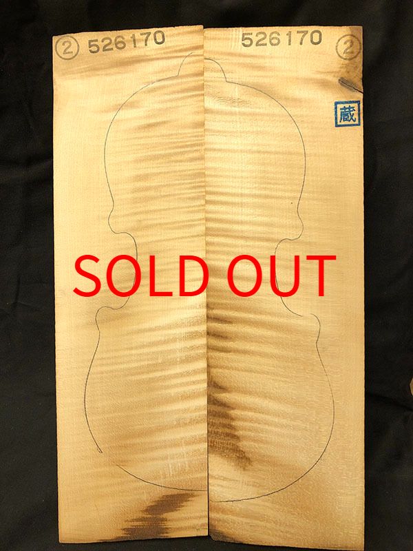 メープル裏板表面