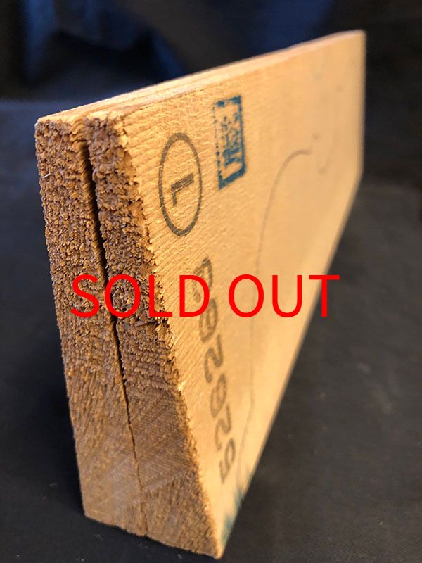 スプルース表板断面図