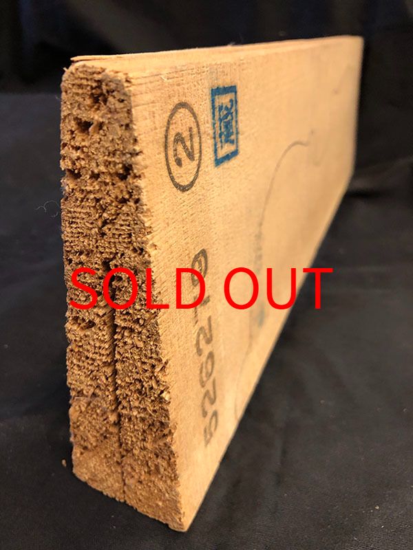 スプルース表板断面図