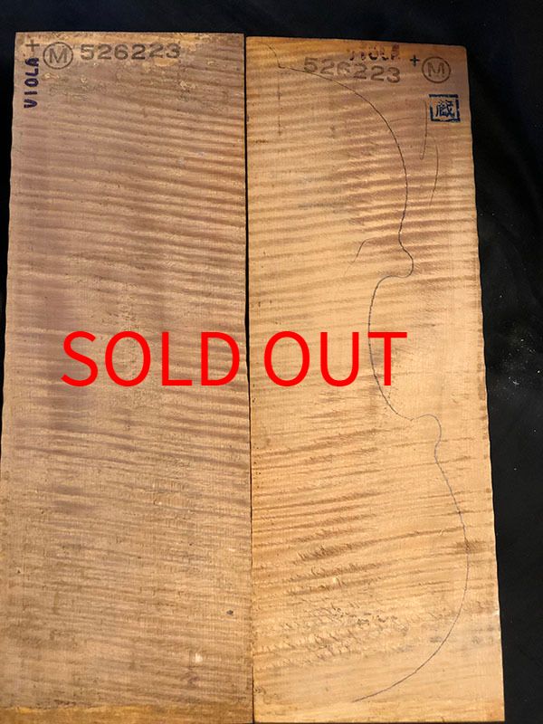 メープル裏板表面