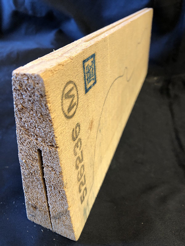 スプルース表板断面図