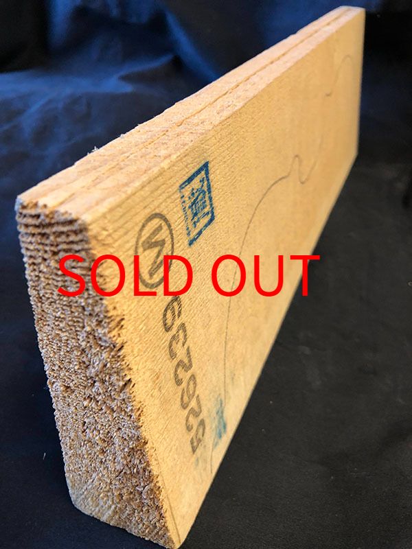 スプルース表板断面図