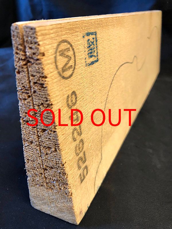 スプルース表板断面図