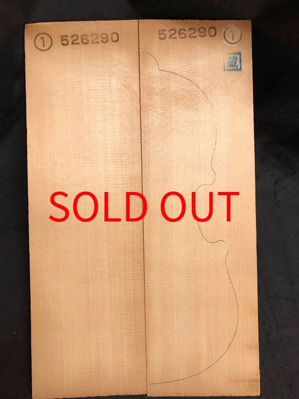 スプルース表板表面