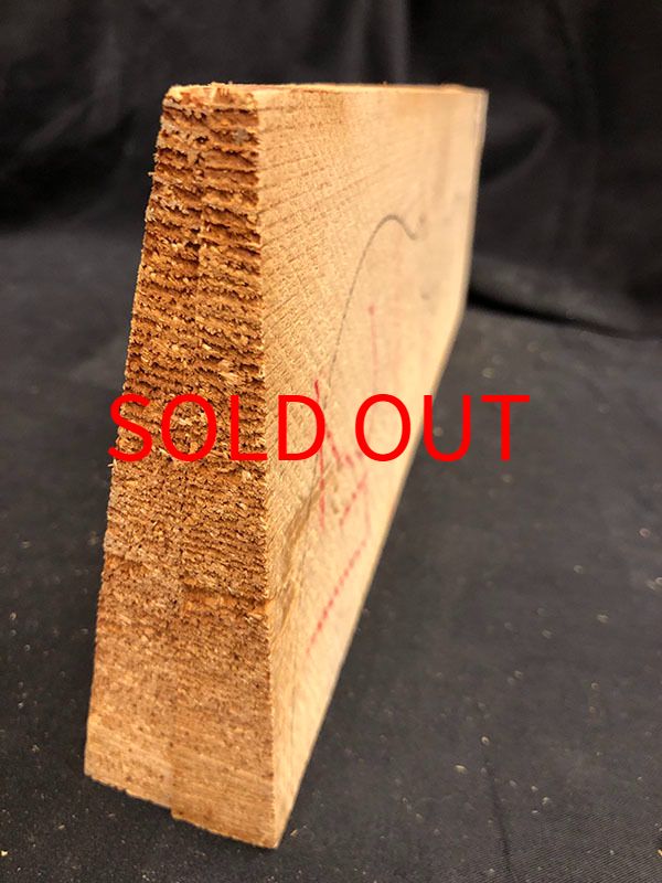 スプルース表板断面図