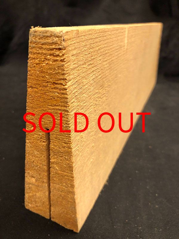 スプルース表板断面図