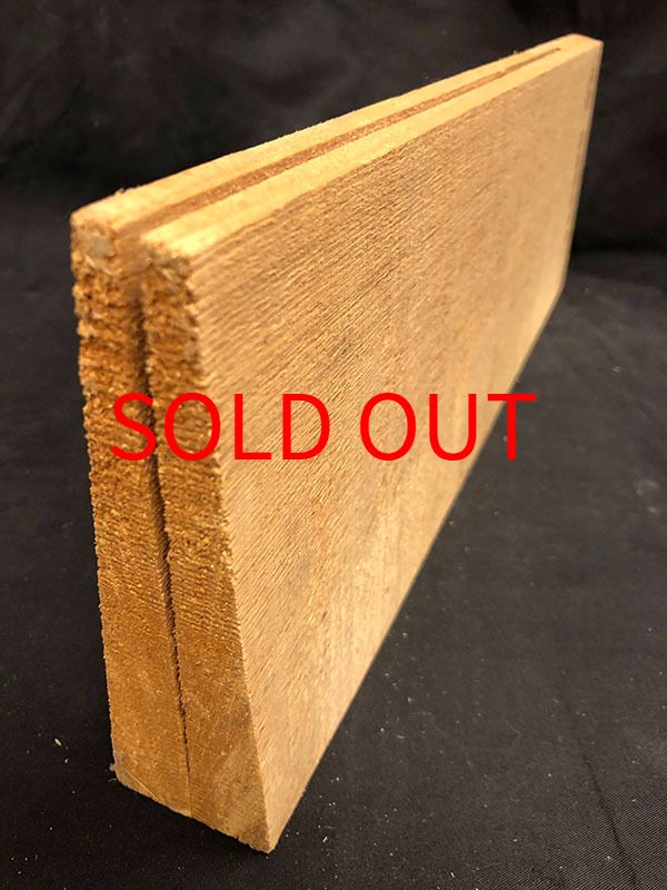 スプルース表板断面図