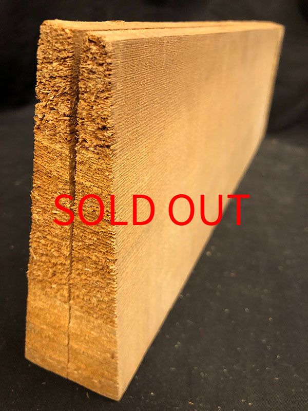 スプルース表板断面図