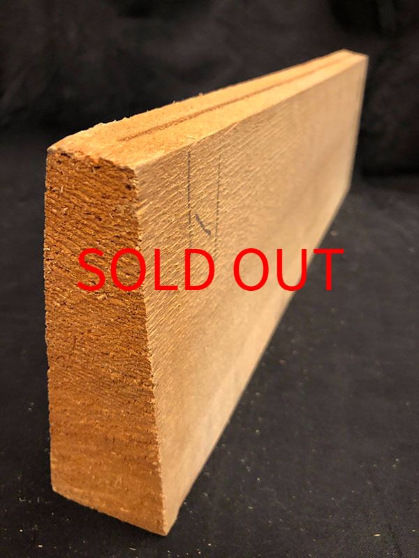 スプルース表板断面図