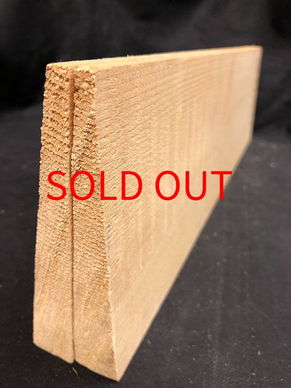 スプルース表板断面図