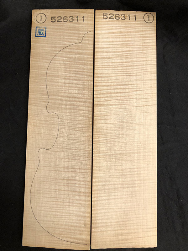 メープル裏板表面