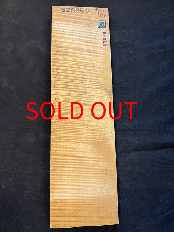 メープル裏板表面