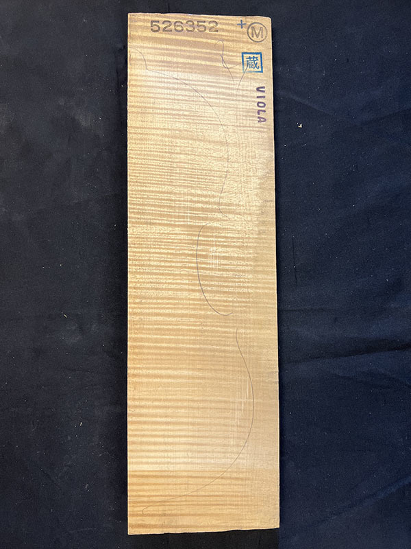 メープル裏板表面