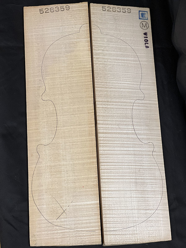 メープル裏板表面