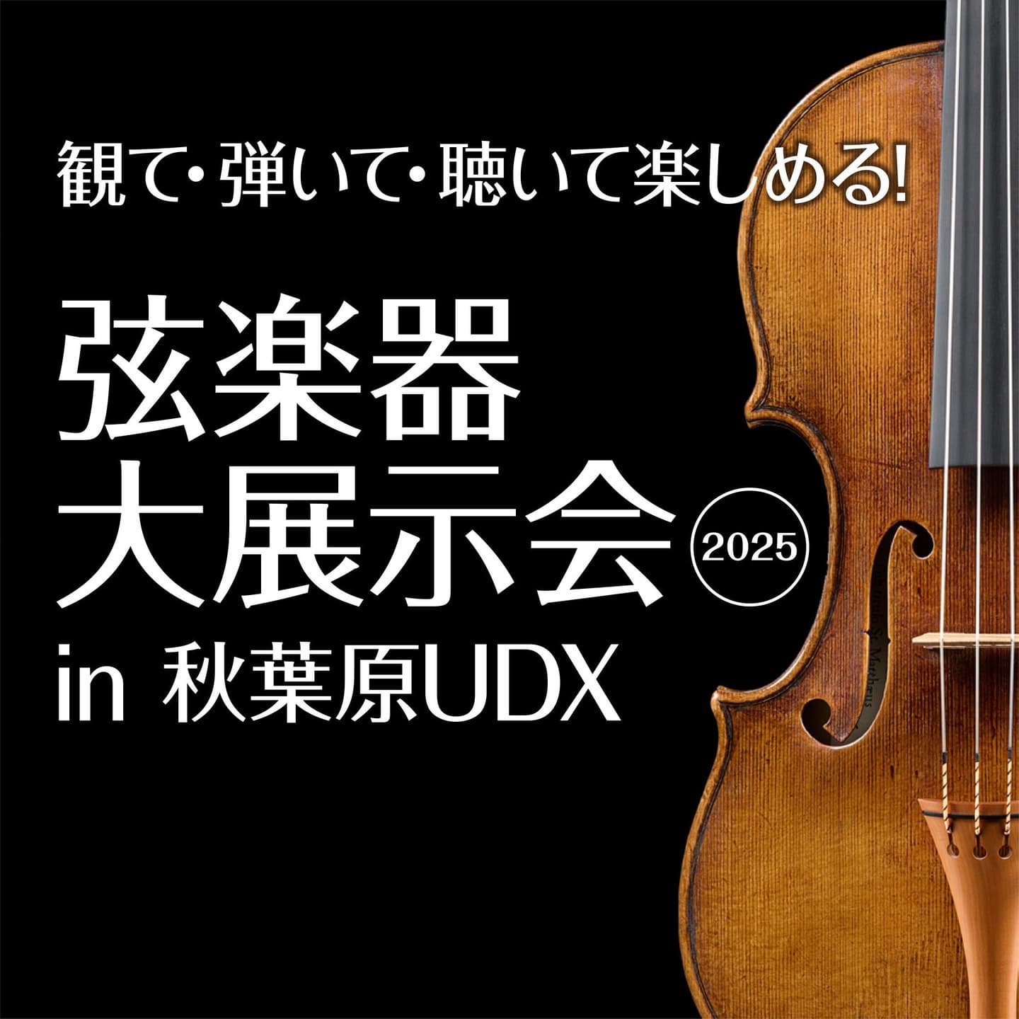 弦楽器大展示会in秋葉原UDX2022ポスター